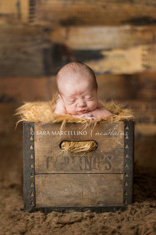 Sara_Marcellino_Photography_St_Louis_Birth_Photographer (1)