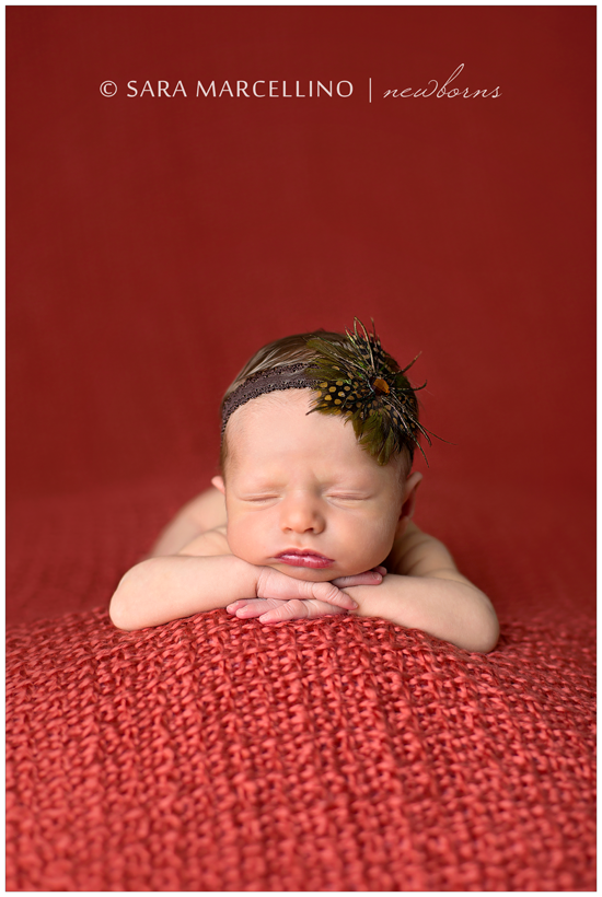 St_Louis_Newborn_Photographer (7)