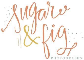 Sugar & Fig Photographs logo